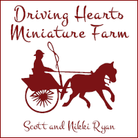 Driving Hearts Miniature Farm