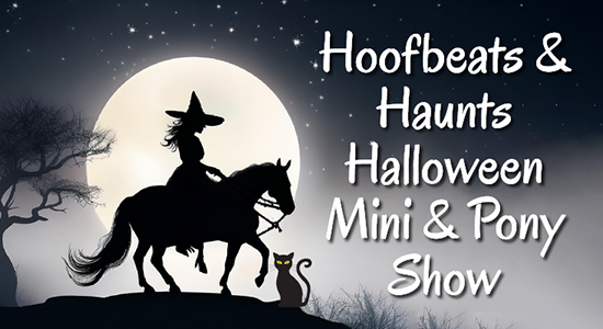 Hoofbeats & Haults Halloween Mini & Pony Show