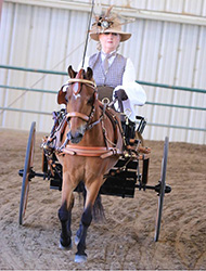 Heidi Arao and Whisper's Rock 'N Roll in the Carriage class